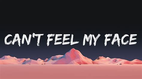 i can t feel my face lyrics|she told me don't worry.